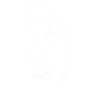 S__2_-removebg-preview